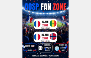 FAN ZONE COUPE DU MONDE
