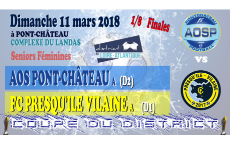 COUPE DE DISTRICT SENIORS F