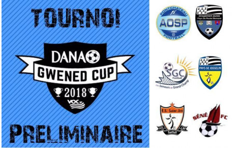 LES U12 EN PRELIMINAIRE DE LA DANAO Gwened Cup