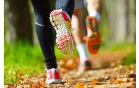 Planning Estivale de Préparation Individuelle U18 - Seniors Masculins